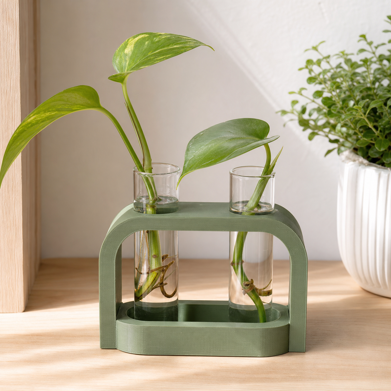 Sage green 3D-printed plant propagation stand with two glass tubes