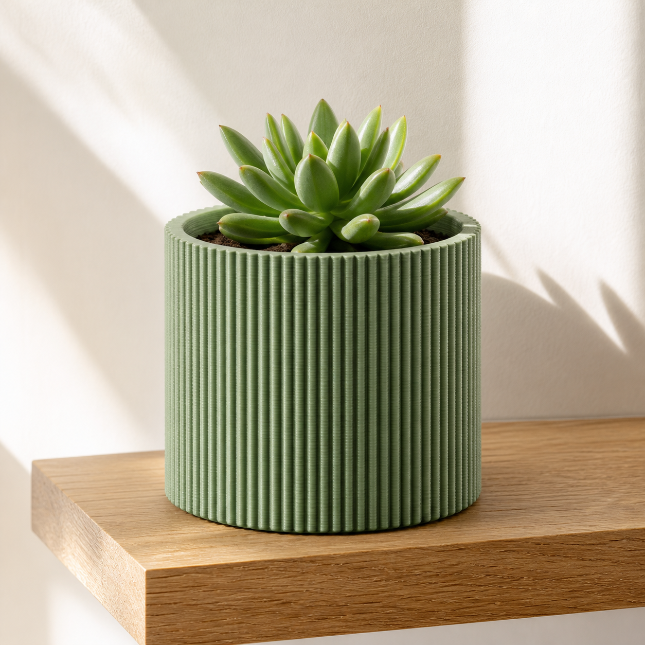 Sage green ribbed 3D-printed planter with a small plant